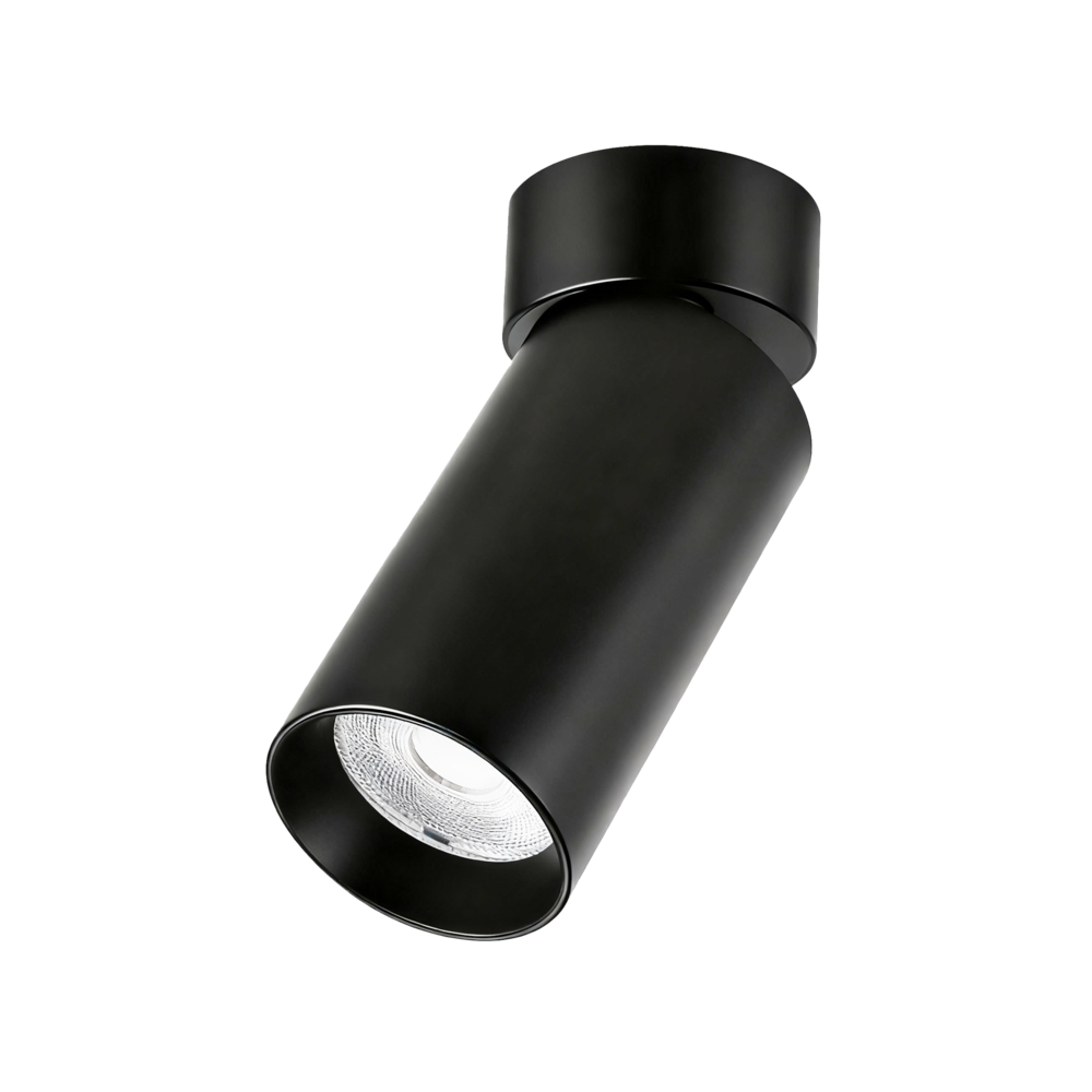 Потолочный светильник Forizo 9W 40° 4000K черный 300015 картинка №1